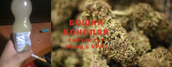 соль ск Богородицк