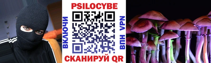 Псилоцибиновые грибы мухоморы  купить наркотики сайты  OMG рабочий сайт  Северск 